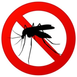 Insektenschutz gegen Mücken